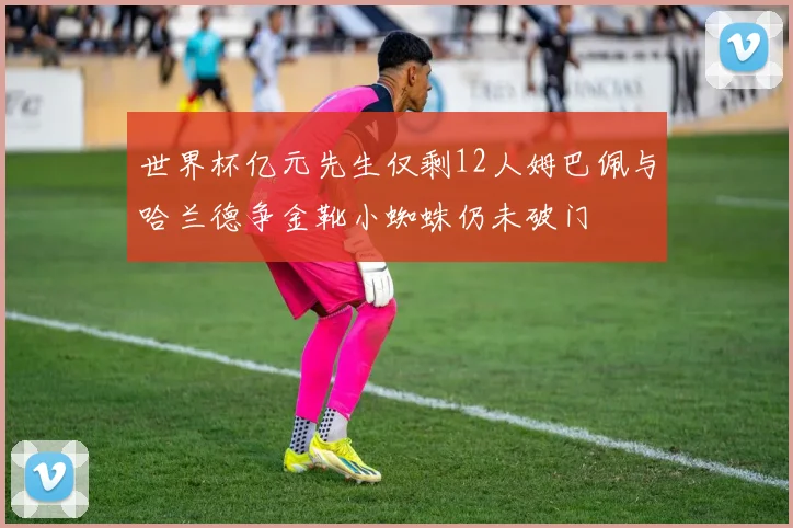 世界杯亿元先生仅剩12人姆巴佩与哈兰德争金靴小蜘蛛仍未破门