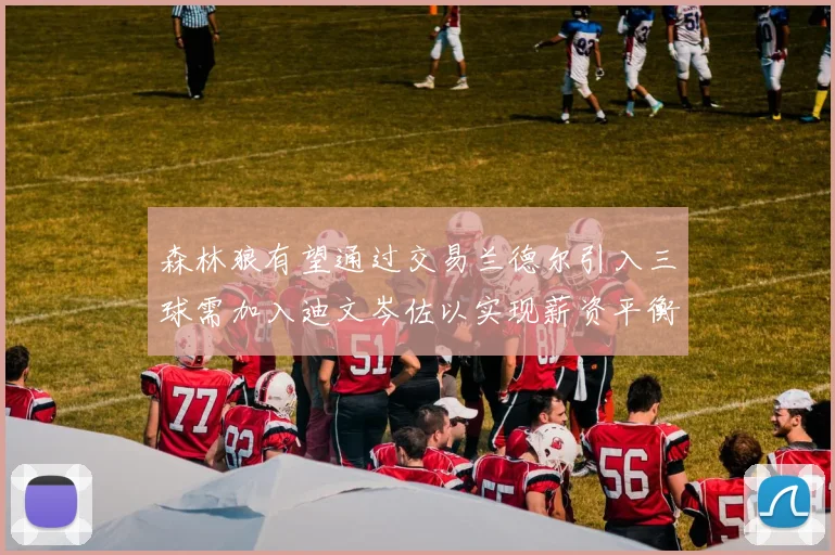 森林狼有望通过交易兰德尔引入三球需加入迪文岑佐以实现薪资平衡