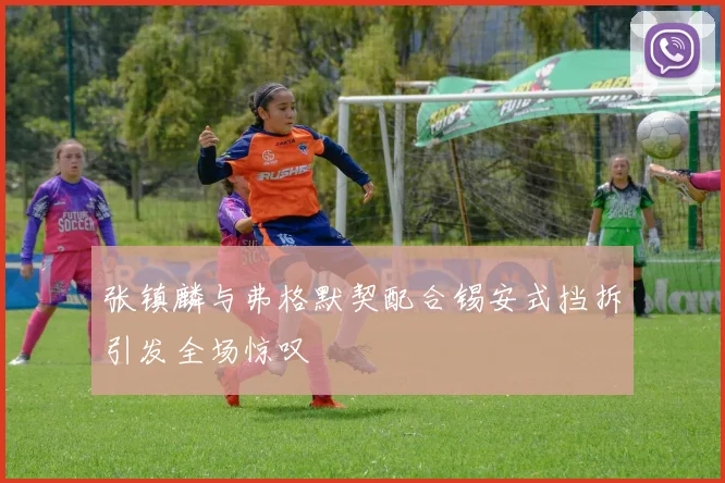 张镇麟与弗格默契配合锡安式挡拆引发全场惊叹